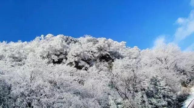 飞扬的方块鸟